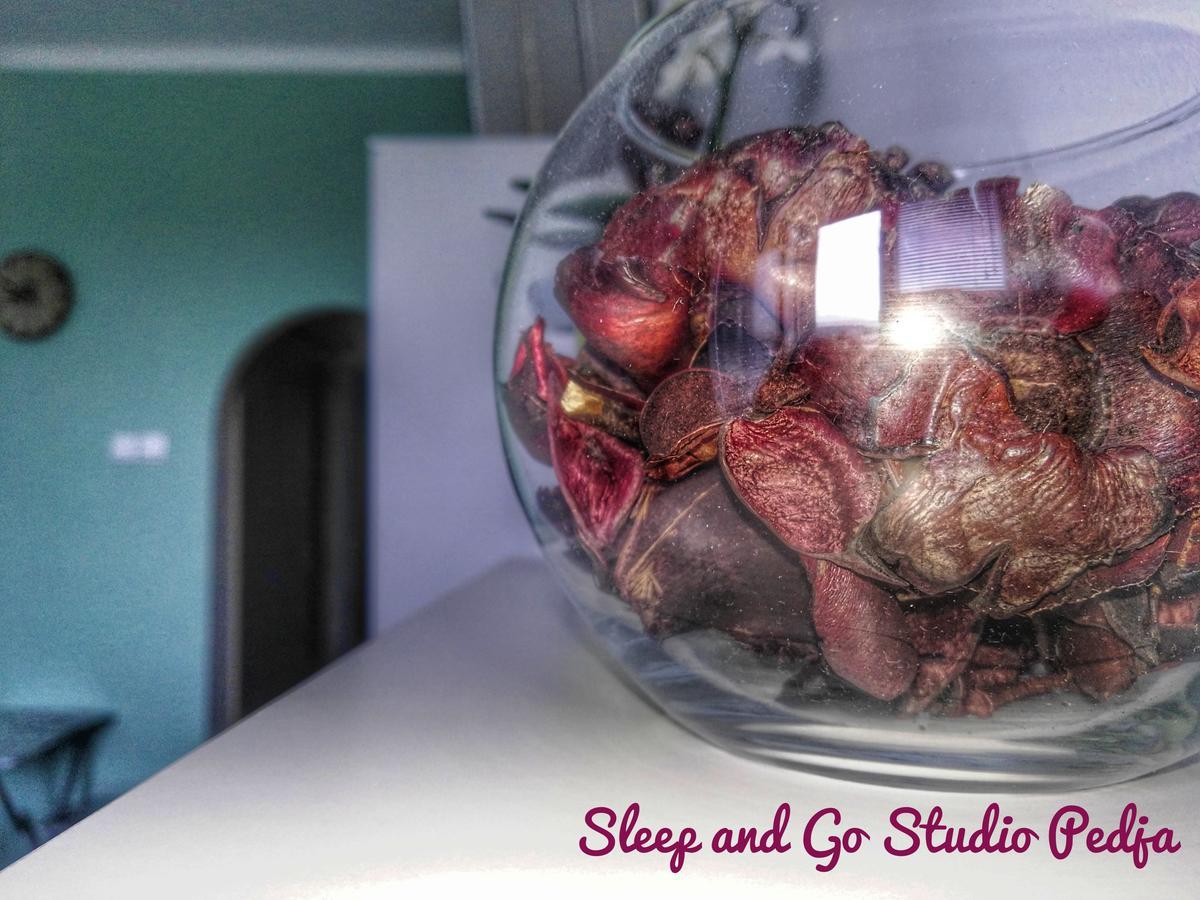 Sleep&Go Pedja Appartement Belgrado Buitenkant foto