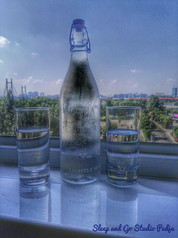 Sleep&Go Pedja Appartement Belgrado Buitenkant foto